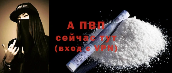 spice Богданович