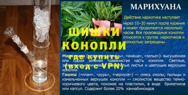 spice Богданович
